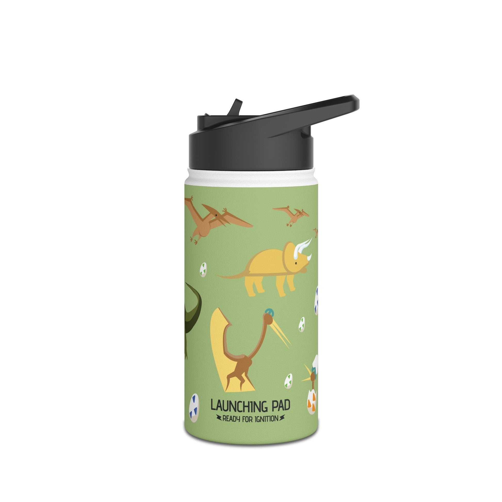 Dino Stainless Steel Water Bottle, Standard Lid